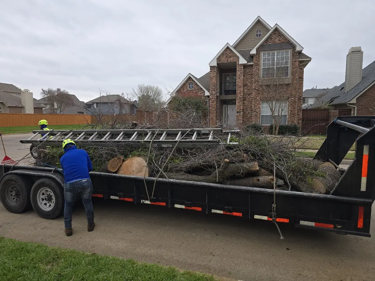Expert Tree Fertilization with proper safety equipment in Brandt
